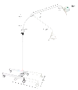 bellon-1-800x910.webp