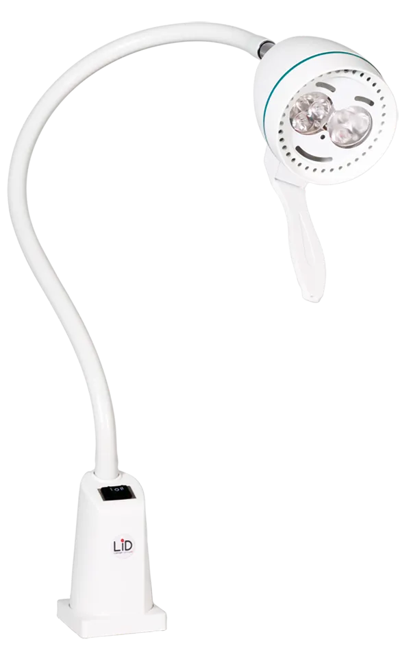 led35651-julia-1 (1).webp