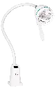 led35651-julia-1 (1).webp