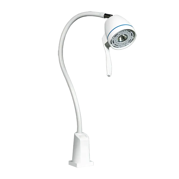 diana-bor50651.webp