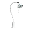 diana-bor50651.webp
