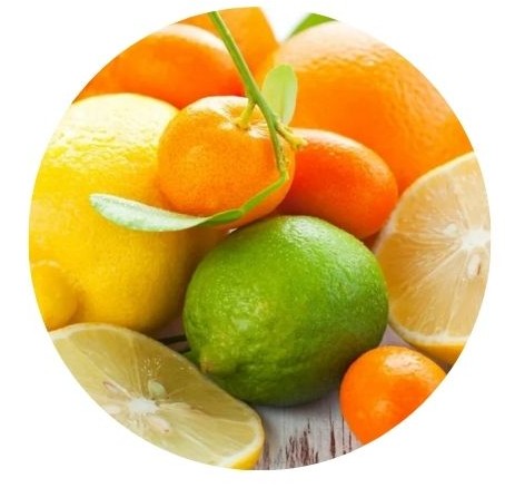 [06.01.0010] Système senteur décadence