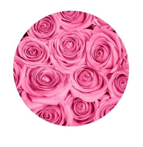 [06.01.0011] Système senteur fleur printemps